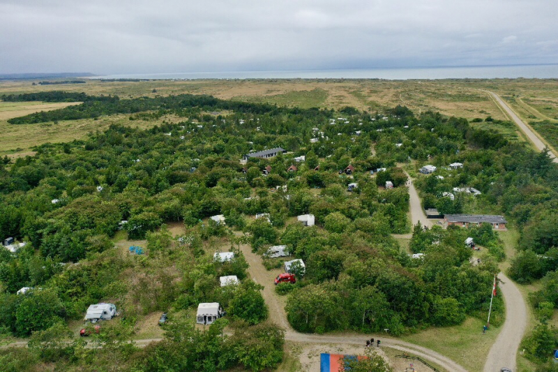 Du får känslan av att bo mitt i skogen, samtidigt som du hör havets brus.