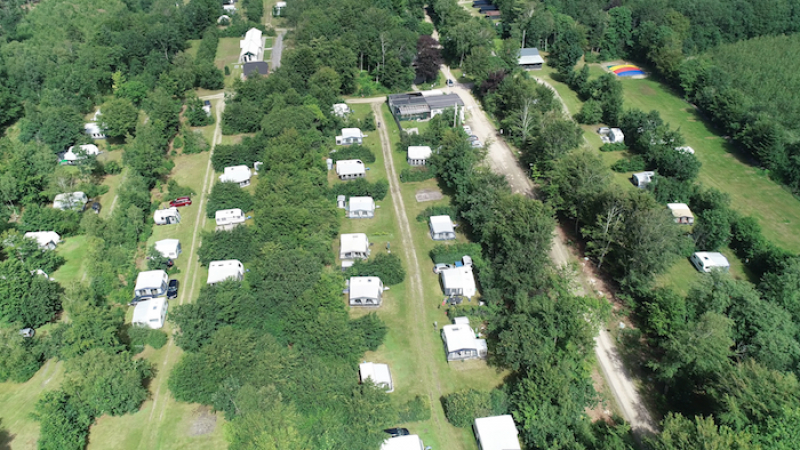 Barn, vuxna och hundar... alla är välkomna på campingplatsen i skogen.