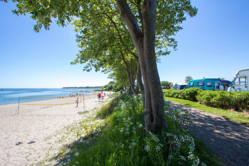 Gammelbro Camping är en lugn och attraktiv campingplats. Vi har aktiviteter för både små och stora, och det natursköna läget precis vid Lilla Bältet ger mängder av möjligheter.